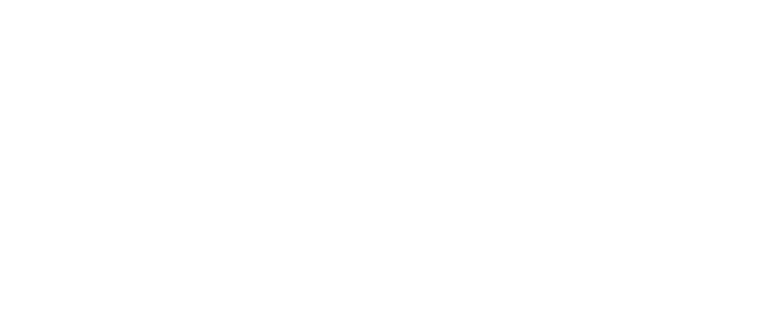 SPACE FOR HUMANITY LOGO